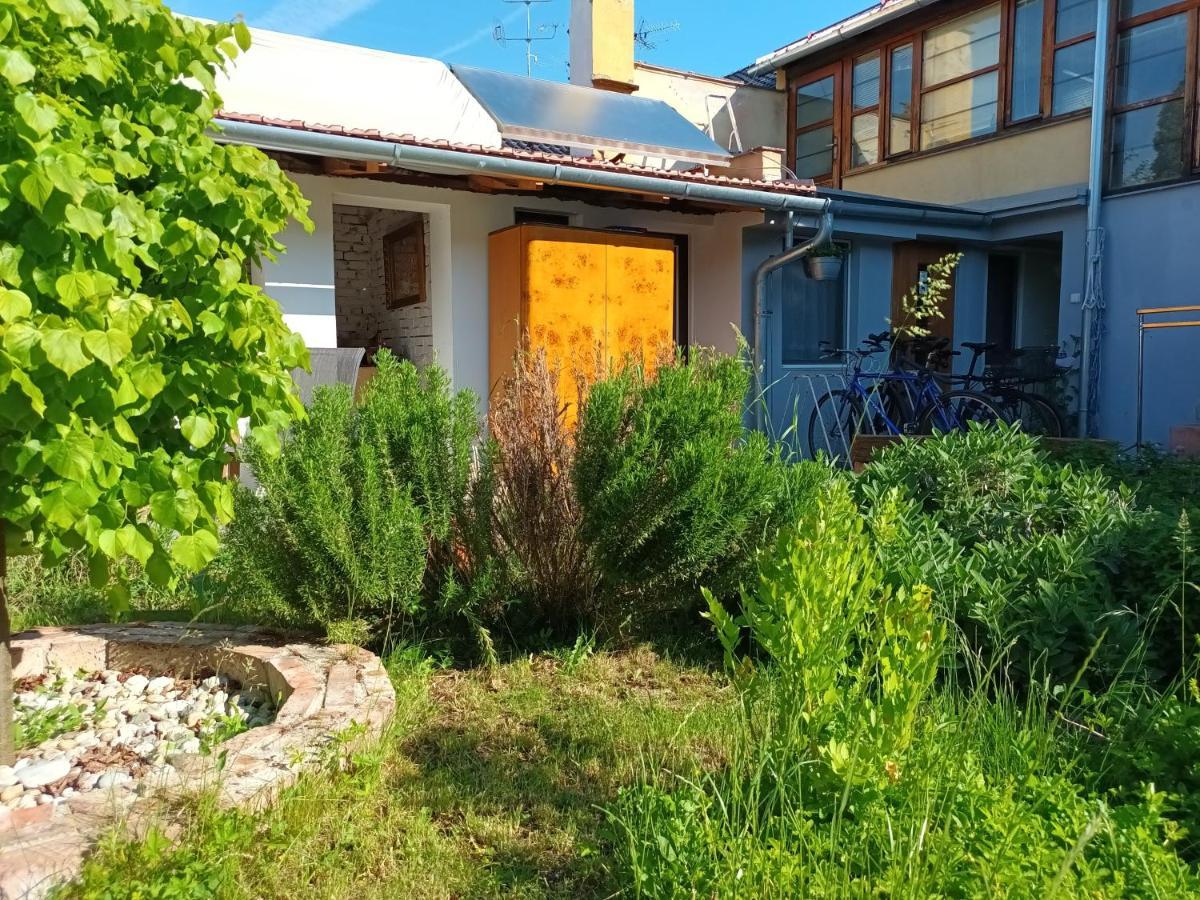 Za Vodou Guest House Moravska Nova Ves Exterior photo