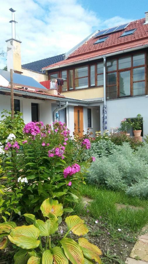 Za Vodou Guest House Moravska Nova Ves Exterior photo