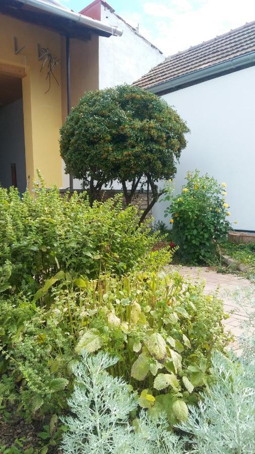 Za Vodou Guest House Moravska Nova Ves Exterior photo