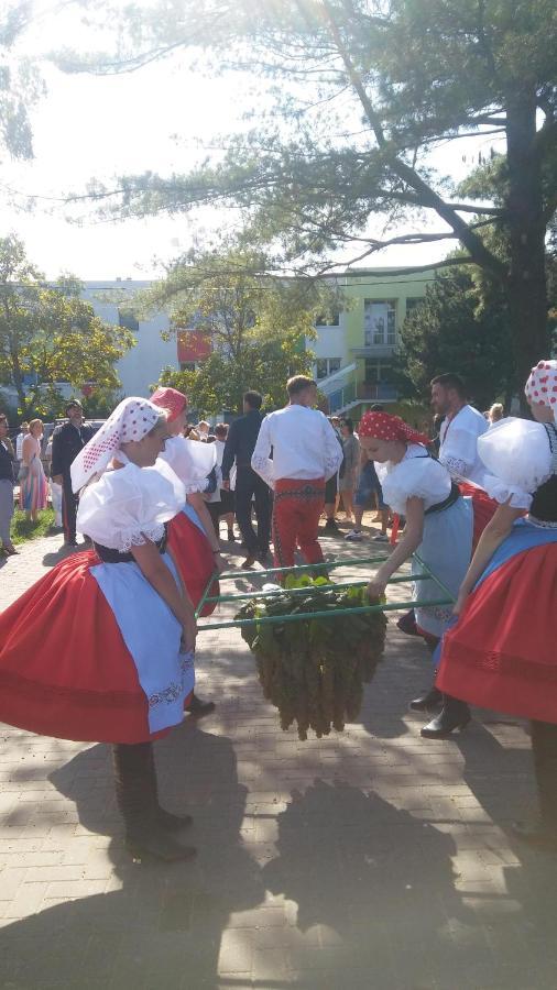 Za Vodou Guest House Moravska Nova Ves Exterior photo